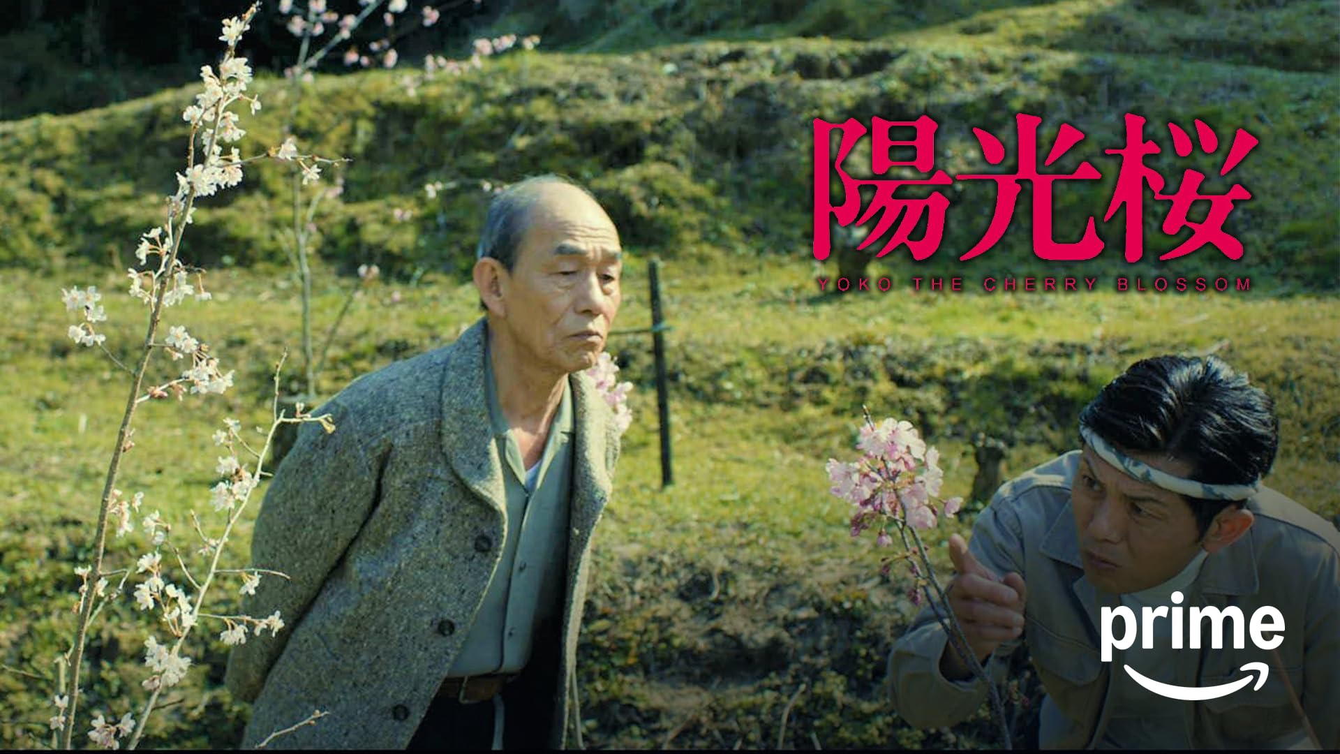 映画さくら、さくら～サムライ化学者高峰譲吉の生涯 公式ガイドブック さくらさくら～サムライ化学者・高峰譲吉の生涯｜フジテレビの